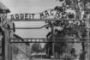Un ex-SS de 93 ans, complice possible dans 300.000 meurtres - © DHNet.be