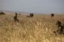 Un Israélien tué sur le plateau du Golan - © France24 - moyen-orient