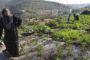 Un paysage de Cisjordanie inscrit au patrimoine de l'Unesco  - © France24 - moyen-orient