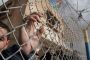 Une journée pour les détenus palestiniens - © La Libre
