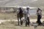 Une ONG israélienne accuse des colons d'annexions sauvages - © Le Monde