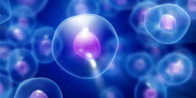 Cellules : une recherche révolutionnaire à lUniversité de Tel Aviv