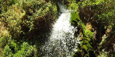 Ein Guedi: Une oasis peuplée dans l'Antiquité