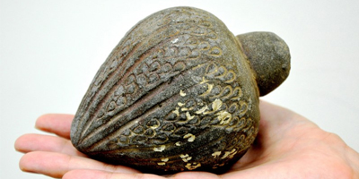 3500 ans dans la mer