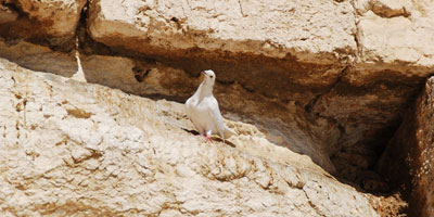 Moi, Israël