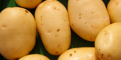 Monsieur Patate du Désert