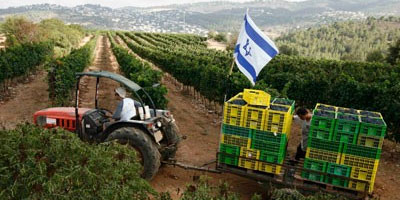 Le meilleur vin au monde vient... d'Israel