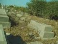 Cimeti&egrave;re juif de Sa&iuml;da - &copy; DailyMotion