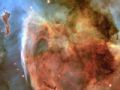 Plaidoyer Pour Notre Terre - clip perso - &copy; DailyMotion