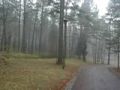 Ponar : les juifs tu&eacute;s 1 par 1 - &copy; DailyMotion