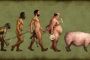 Du darwinisme aux mariages entre hommes - &copy; Torah-Box