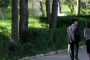 Le concept du Chiddoukh : se marier apr&egrave;s quelques rencontres ?! - &copy; Torah-Box