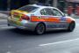 Miracle : la voiture de police pr&eacute;vue il y a plus de 5000 ans - &copy; Torah-Box